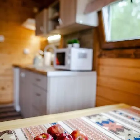 Domki Na Gorniej Lace - Domek Slowik Lazany Exterior foto
