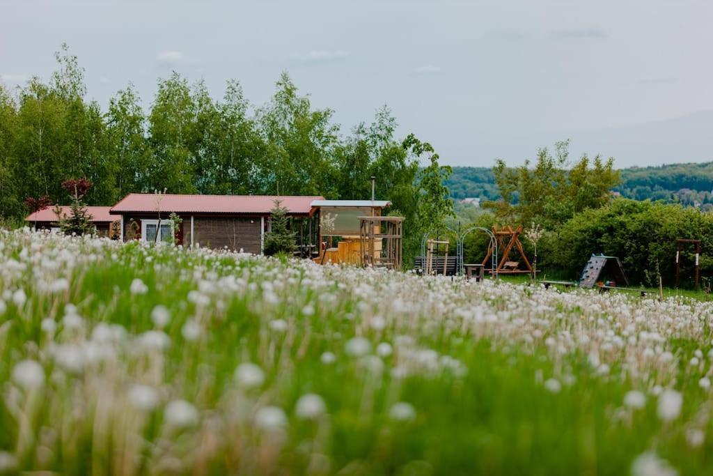 Na Górniej łące - Słowik Domek alpejski *