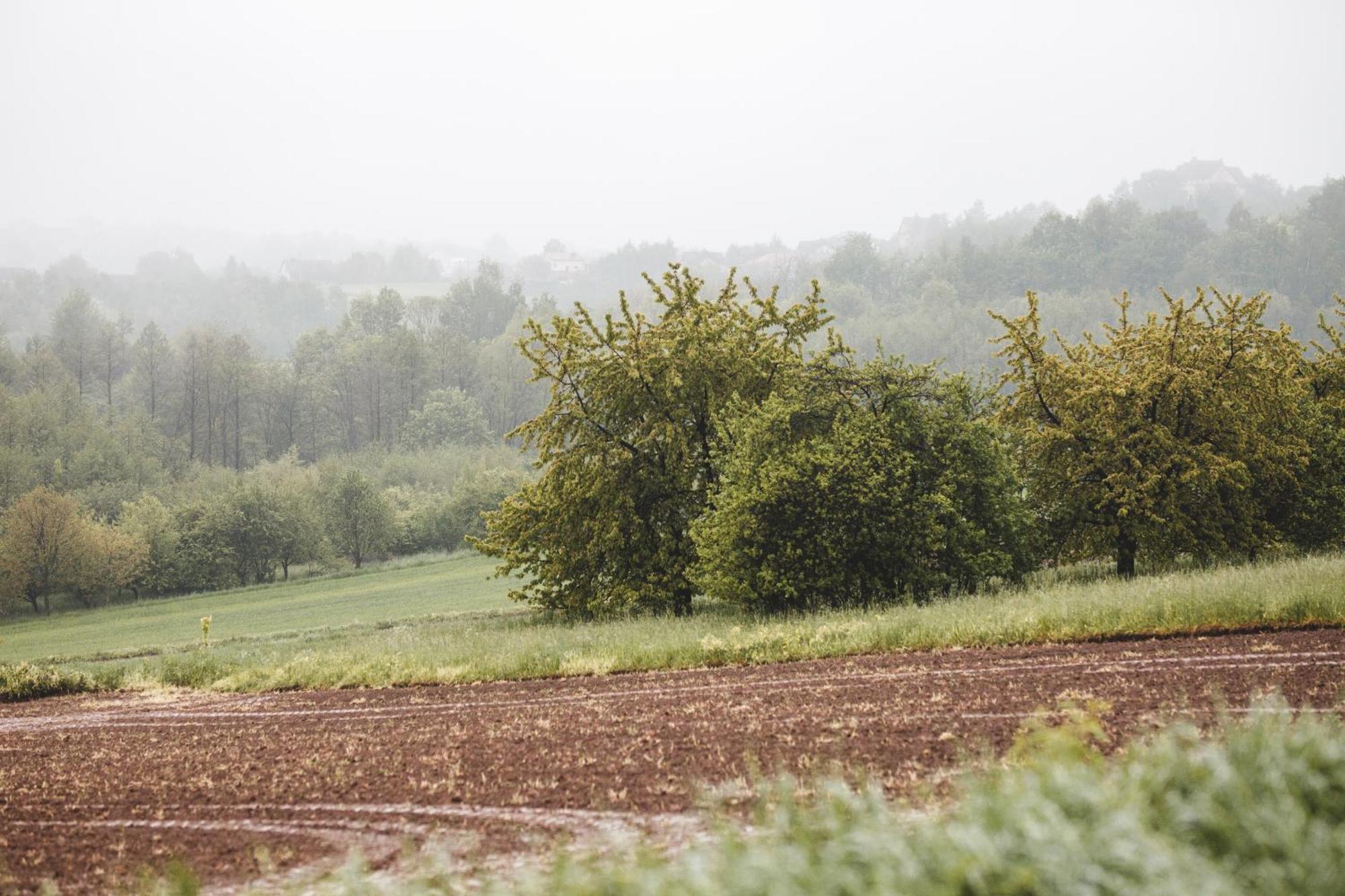 Domek alpejski Na Górniej łące - Słowik Lazany