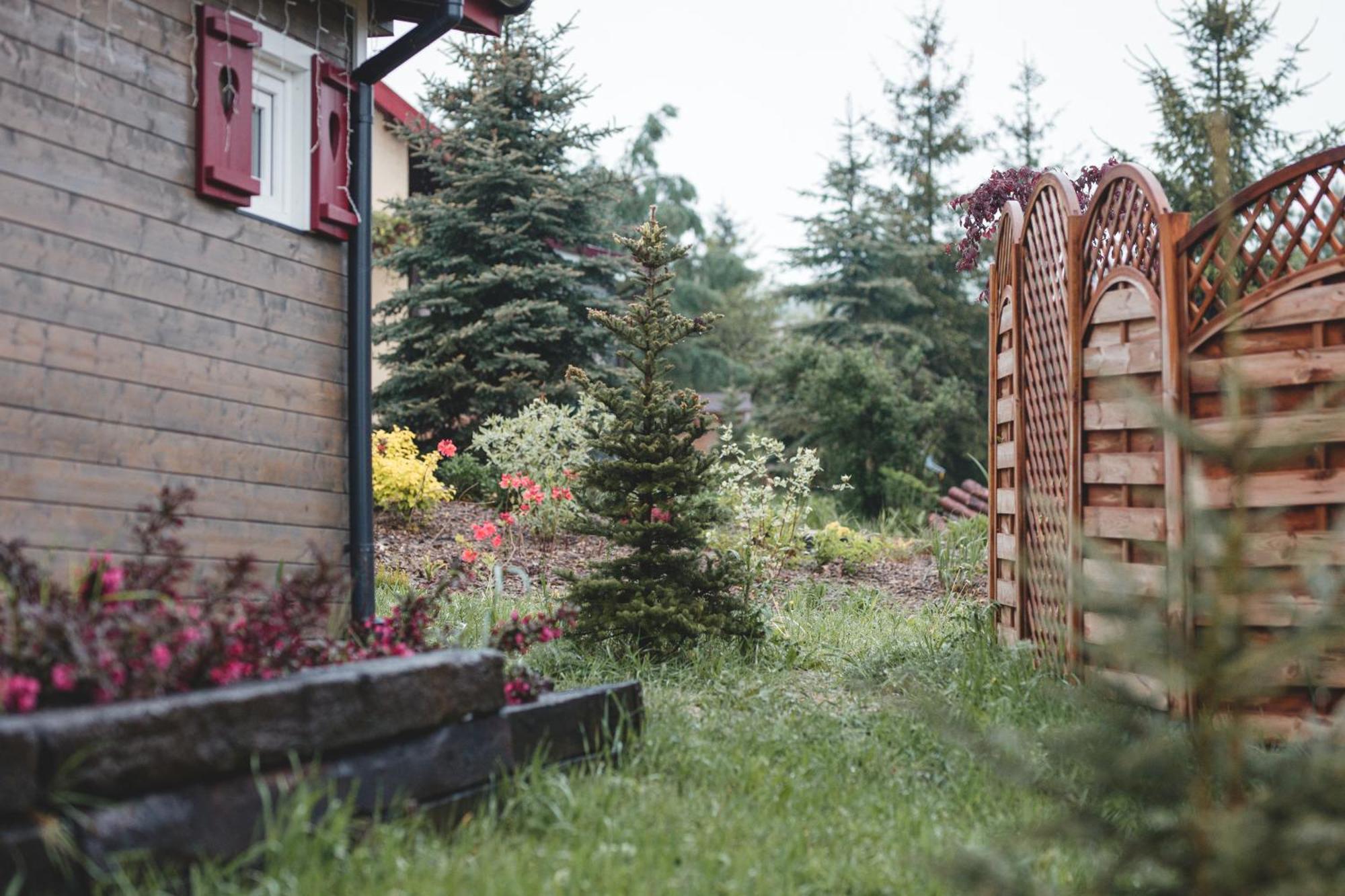 Na Gorniej Lace - Slowik Chalet Lazany