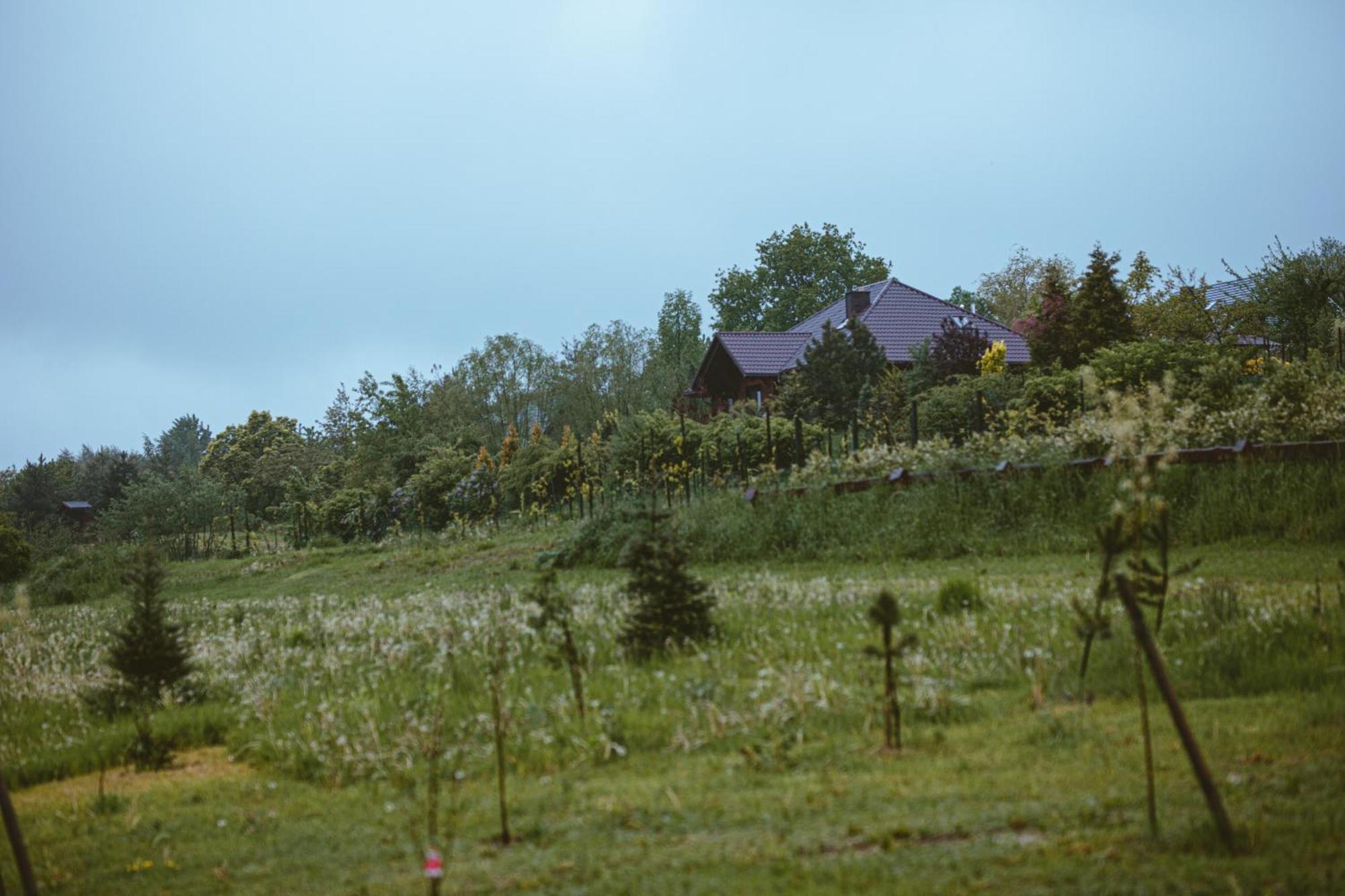 Chalet Na Gorniej Lace - Slowik *