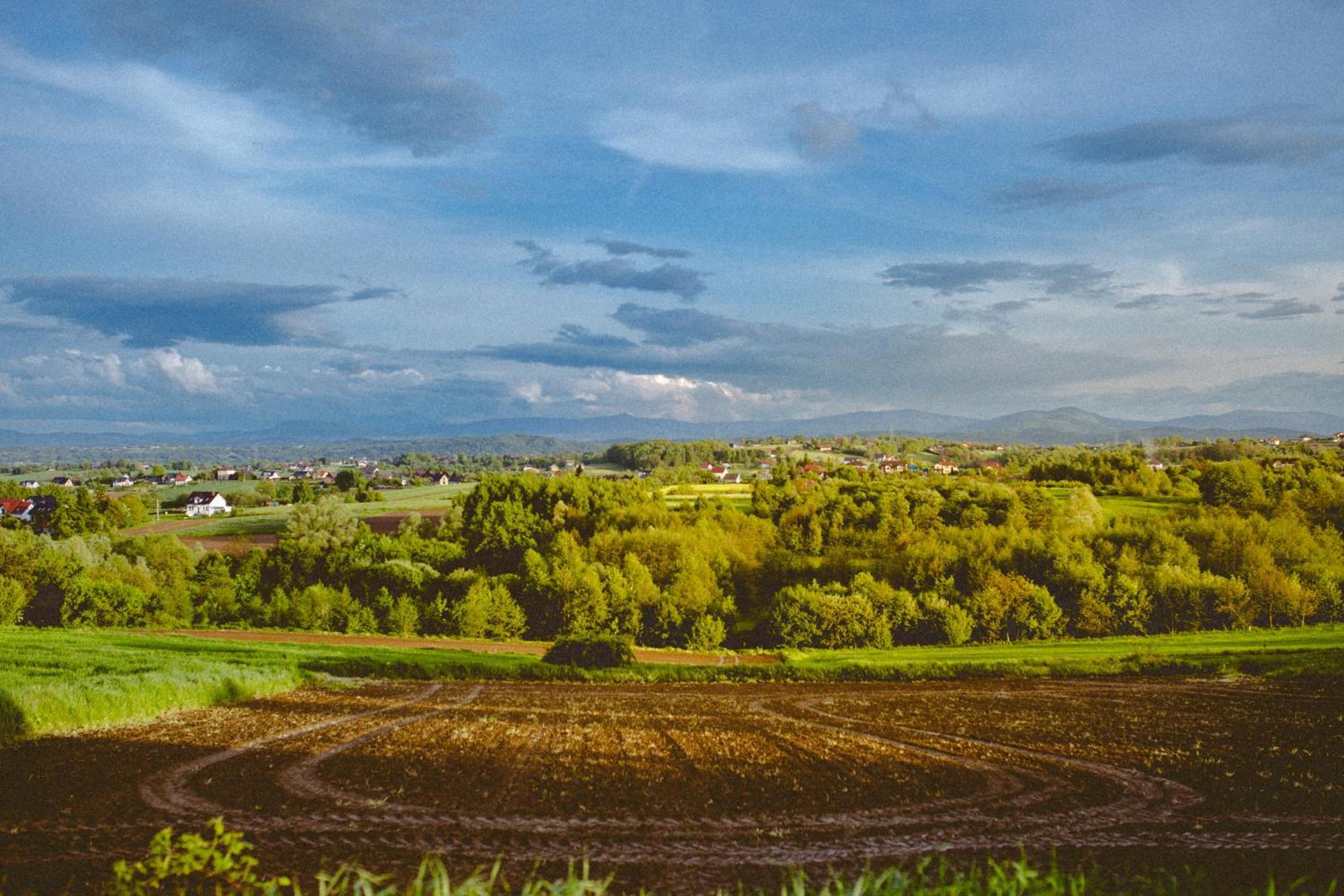 Na Górniej łące - Słowik * Lazany